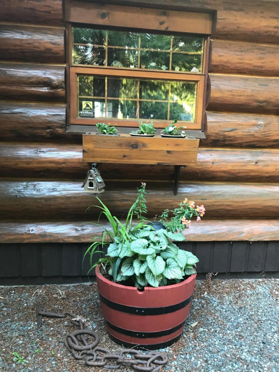 Union Bay Log Home Zewnętrze zdjęcie